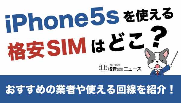 iPphone5s_SIMの画像