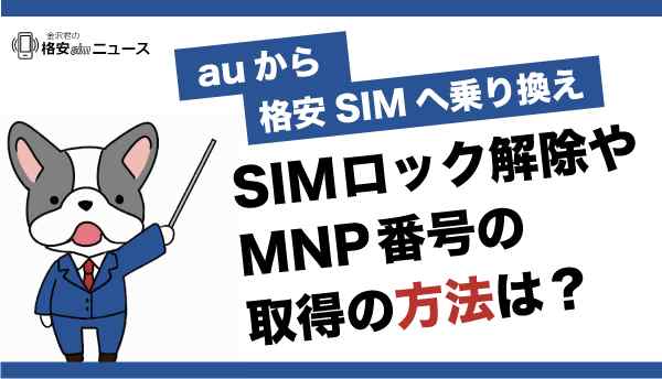 SIM_auの画像