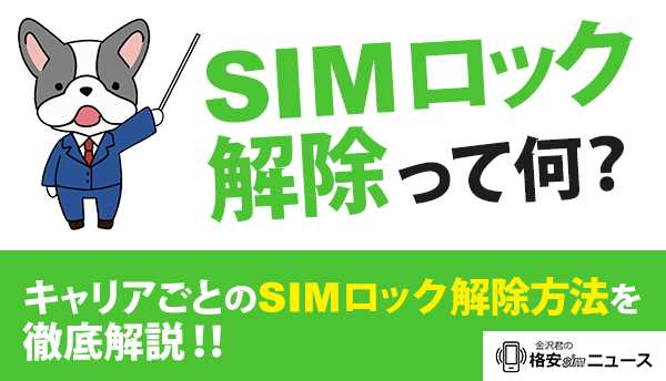 SIM_解除の画像