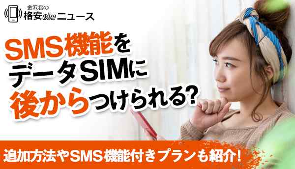 SMS_SIMの画像